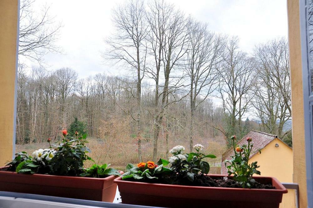 Au Jardin De Lisa Bed and Breakfast Cherreau Eksteriør billede